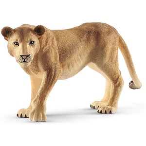 Wild life lionne
