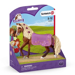Étalon paso fino spectacle équestre