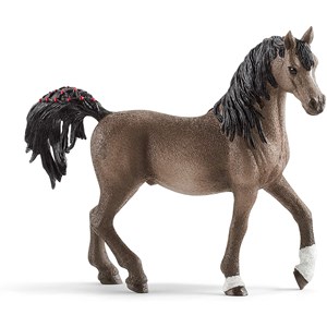 Horse club - etalon arabe