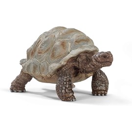 Tortue géante