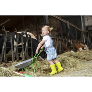 Brouette en métal, argent et vert