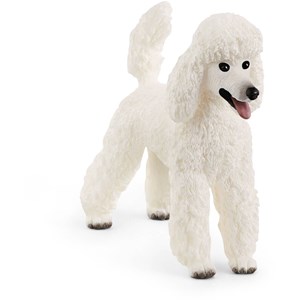 Farm world caniche