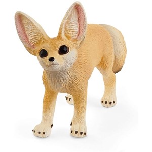 Wild life fennec