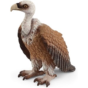 Wild life vautour