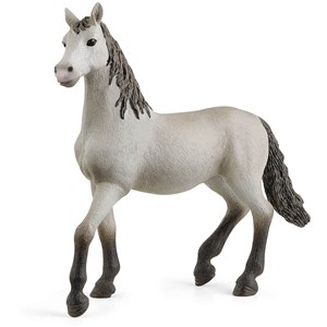 Horse club poulain pure race espagnole
