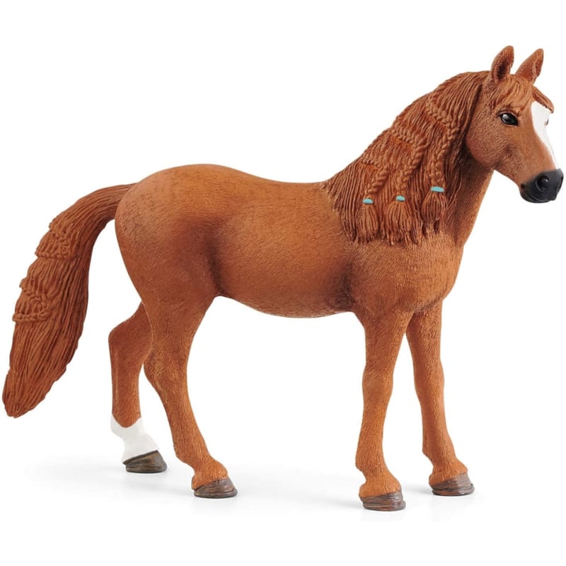 Horse club ponette de selle allemande
