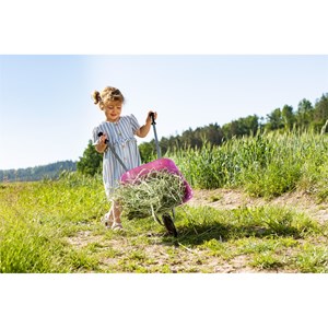 Brouette en métal rose