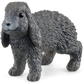 Lapin bélier