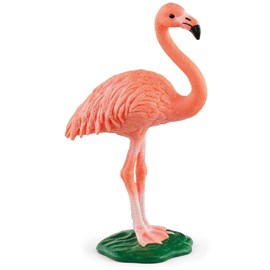 Wild life flamant rose