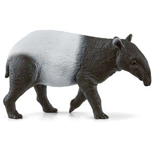 Wild life tapir