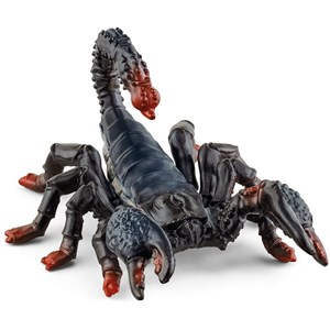 Wild life scorpion empereur