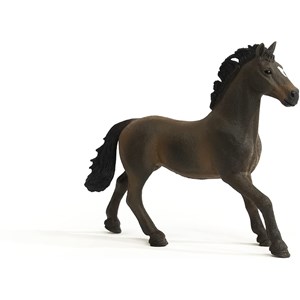 Horse club étalon oldenbourg