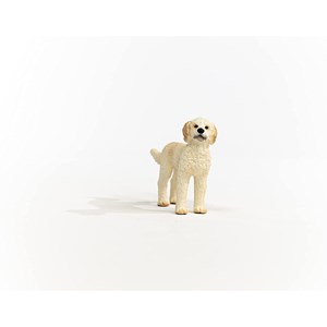 Farm world chien goldendoodle
