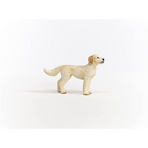 Farm world chien goldendoodle