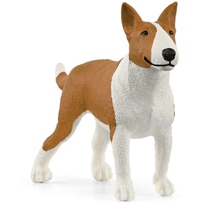 Farm world bull terrier