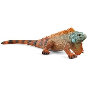 Wild life iguane