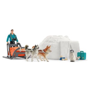 Wild life expédition en antarctique