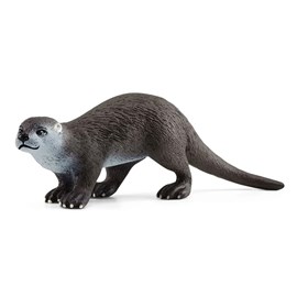 Wild life loutre