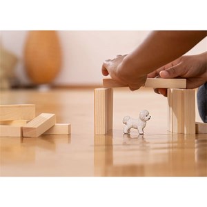 Farm world bichon frisé