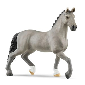Horse club étalon selle français