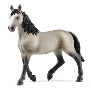 Horse club jument selle français