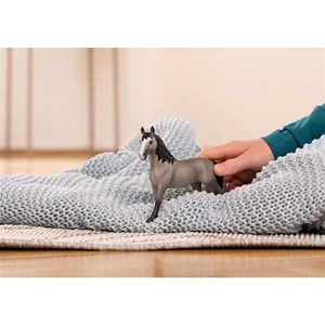 Horse club jument selle français