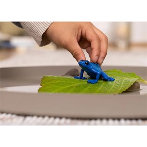 Wild life dendrobate à tapirer