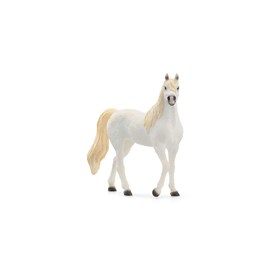Horse club jument arabe