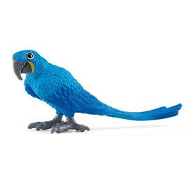 Wild life ara hyacinthe