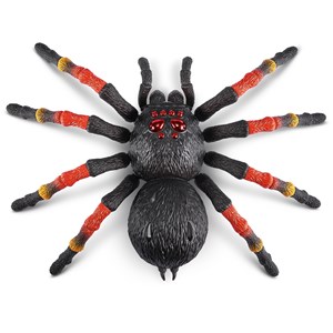 Robo alive - tarentule géante