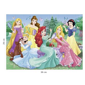Puzzle rencontre avec les princesses dis