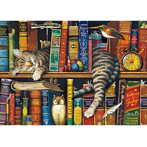 Puzzle frédéric le chat lettré 1000 p