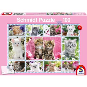 Puzzle chatons 100 pcs