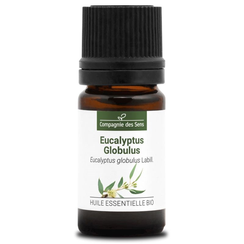 Eucalyptus globulus - huile essentielle bio - 5ml garantie chromacert® - chémot