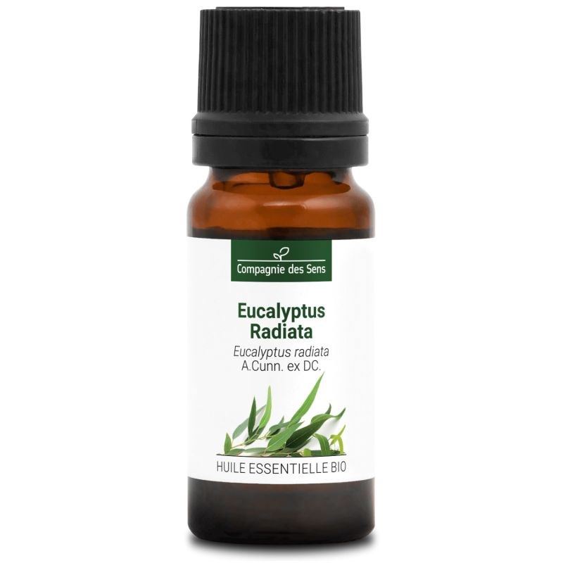 Eucalyptus radiata - huile essentielle bio - 10ml garantie chromacert® - chémoty