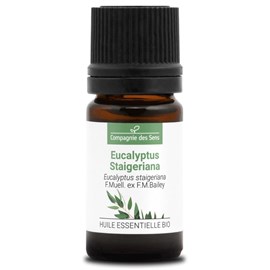 Eucalyptus staigeriana - huile essentielle bio - 5ml garantie chromacert® - chém