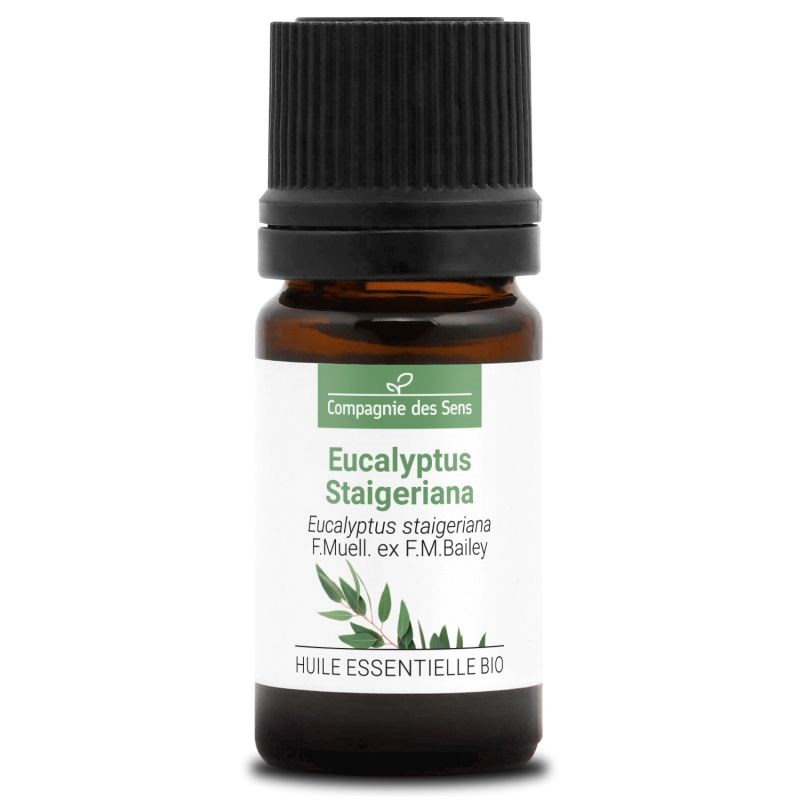 Eucalyptus staigeriana - huile essentielle bio - 5ml garantie chromacert® - chém