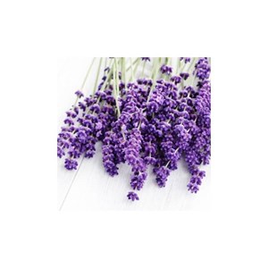 Lavandin super  - huile essentielle bio - 10ml garantie chromacert® - chémotypée