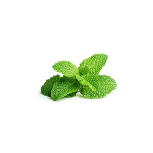 Menthe poivrée (mentha piperita)  - huile essentielle bio - 5ml garantie chromac