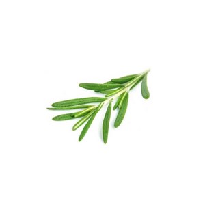 Romarin à cinéole - huile essentielle bio - 10ml garantie chromacert® - chémotyp