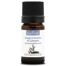 Sauge à feuilles de lavande - huile essentielle bio - 5ml garantie chromacert® -