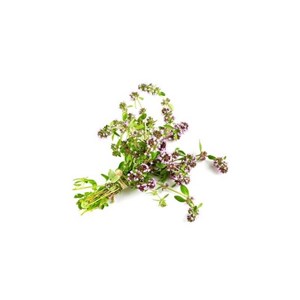 Thym à linalol (thymus zygis) - huile essentielle bio - 5ml garantie chromacert®