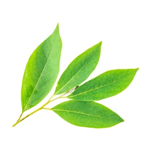 Verveine exotique (litsea cubeba) - huile essentielle bio - 5ml garantie chromac