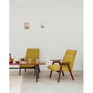 Jakob, le grand fauteuil jaune n°438