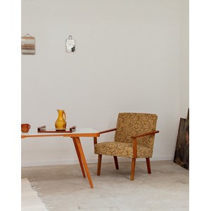 Jakob, le fauteuil bas à motifs n°439