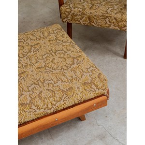 Nsemble fauteuil et repose-pied n°447