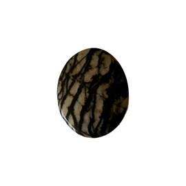 Palet en jaspe chrysanthème