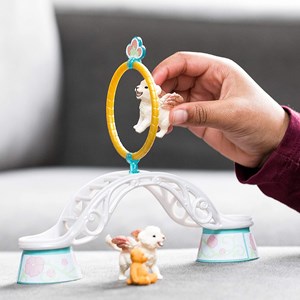 Bayala entraînement pour lionceau ailé