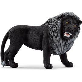 Animal miniature lion noir