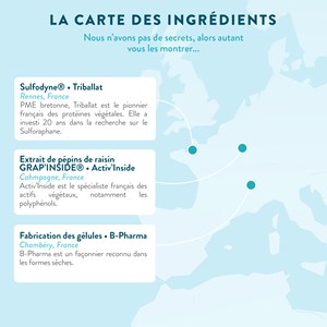 Antioxydant - santé de la peau - 1 mois